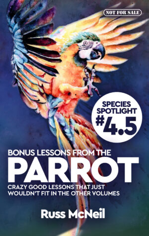Bonus Lessons from the Parrot