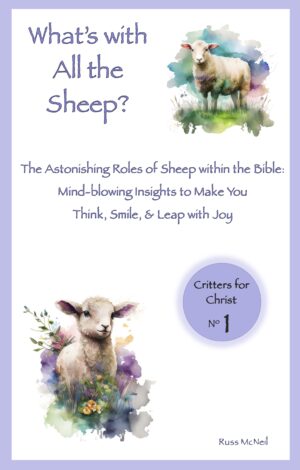 What's with All the Sheep?