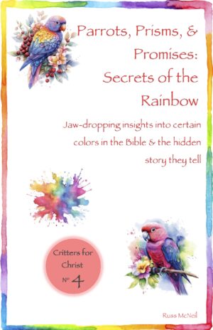 Rainbows, Prisms, and the Truth About Rainbows